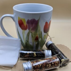 Tulpenmoment<br>Ontdek & Geef